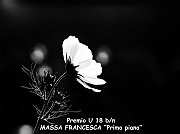 Miglior Under 18 bn Massa Francesca PRIMO PIANO copia